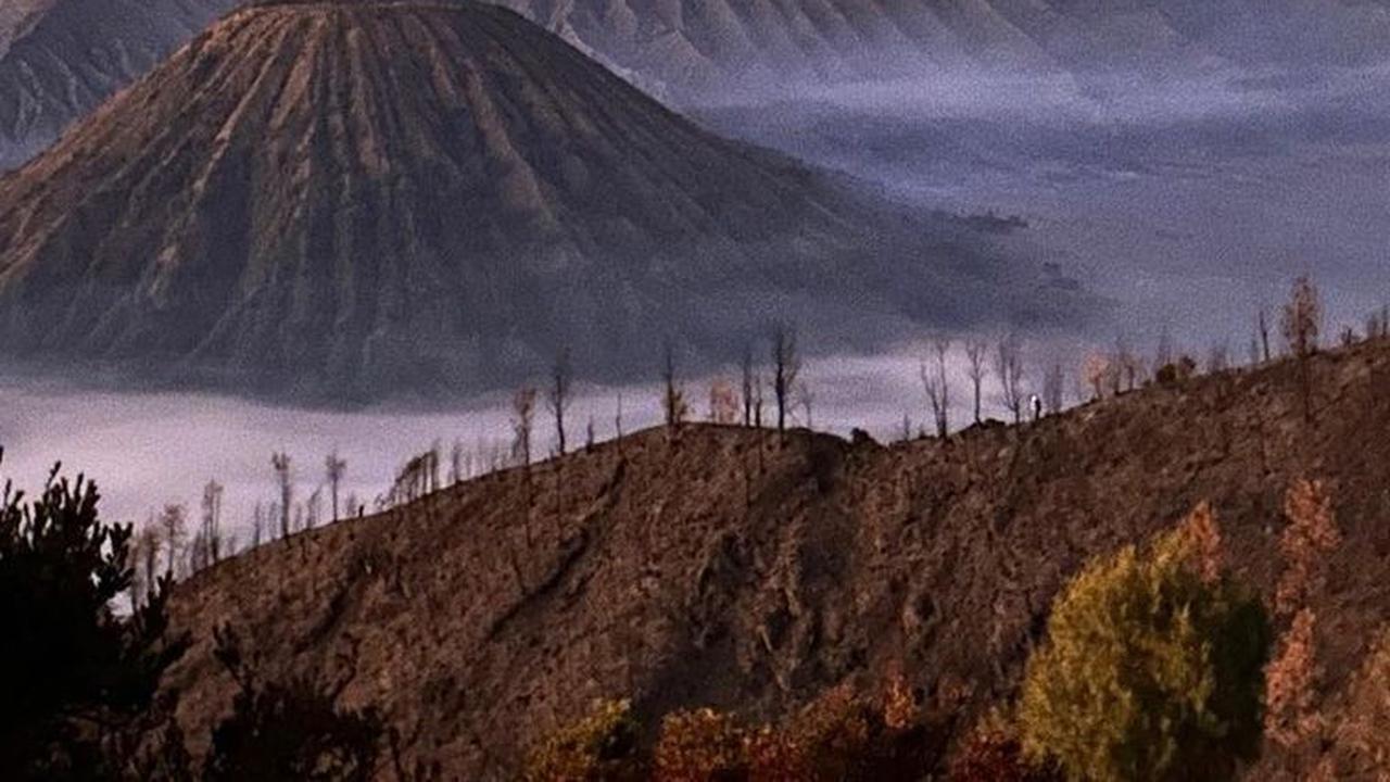 Jadi Taman Nasional Terindah di Dunia, Ini 5 Fakta Menarik Bromo yang Wajib Dikunjungi