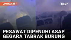 Asap Penuhi Kabin Pesawat Pasca Menabrak Burung