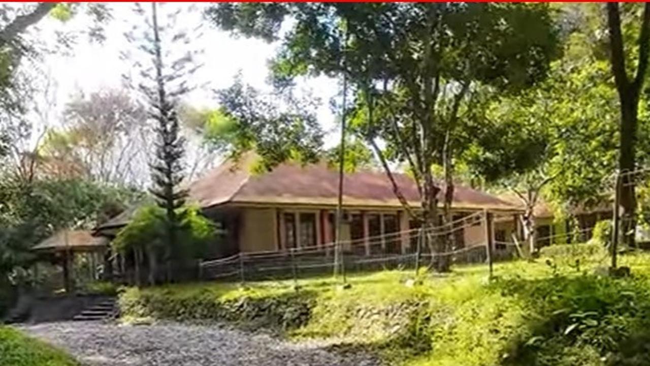 Perkebunan Bunisari