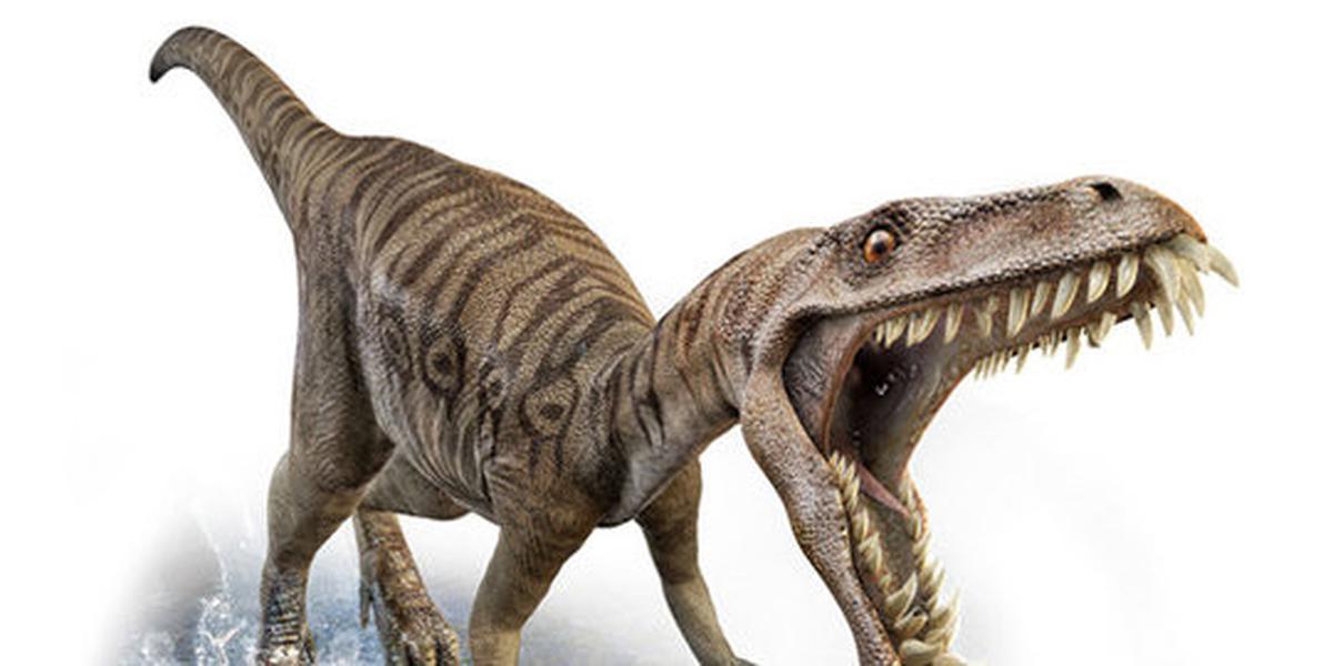 Predator menjauh