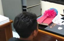 Kasus Kawin Tangkap di NTT Naik Penyidikan, Empat Pelaku Terancam Pasal Berlapis