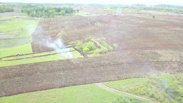 Foto lokasi Kawasan Food Estate