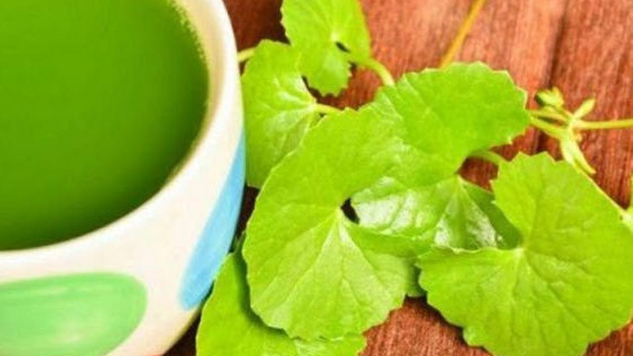 Resep Jamu Daun Pegagan