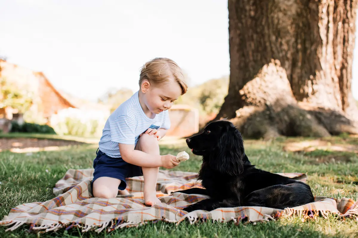 Foto Pangeran George dan anjingnya Lupo