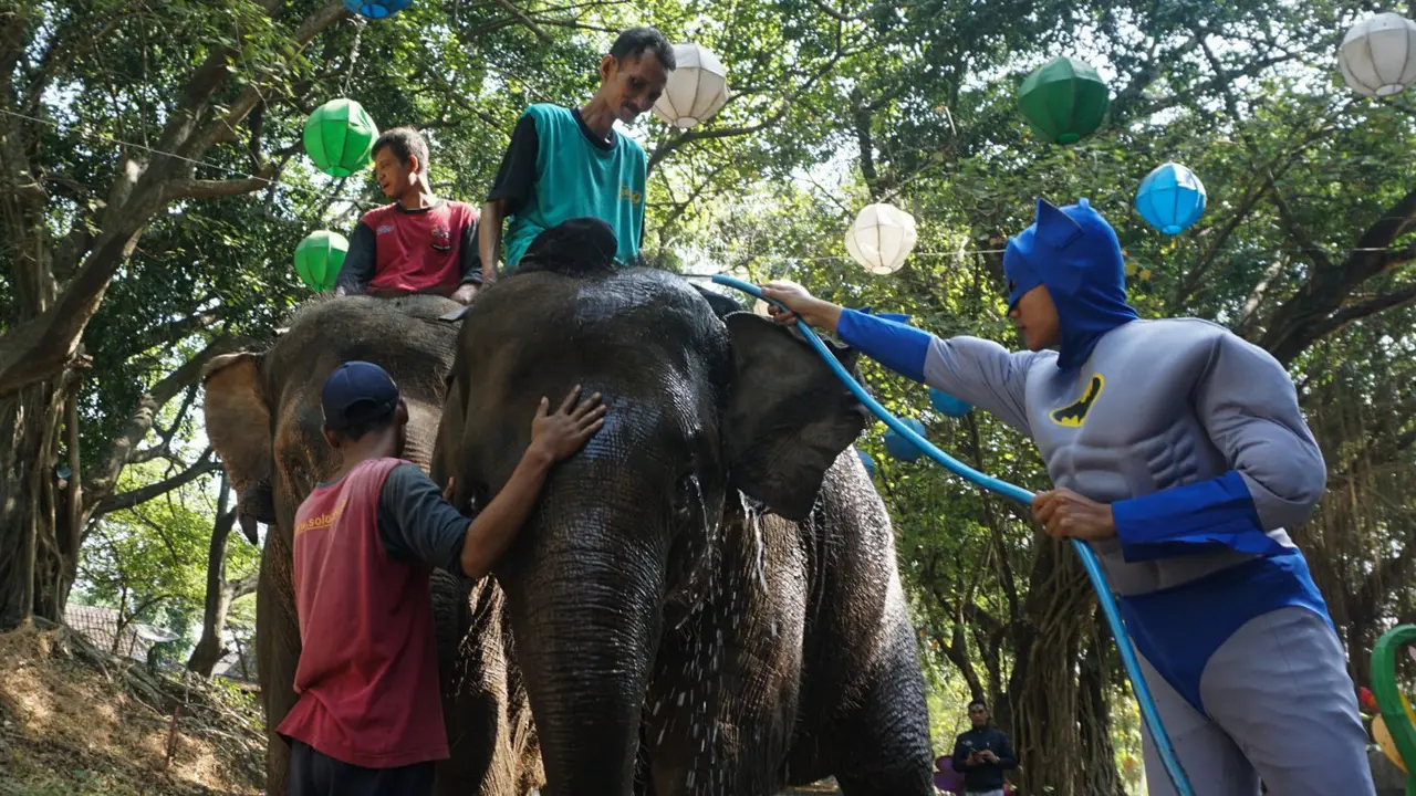 World Elephant Day