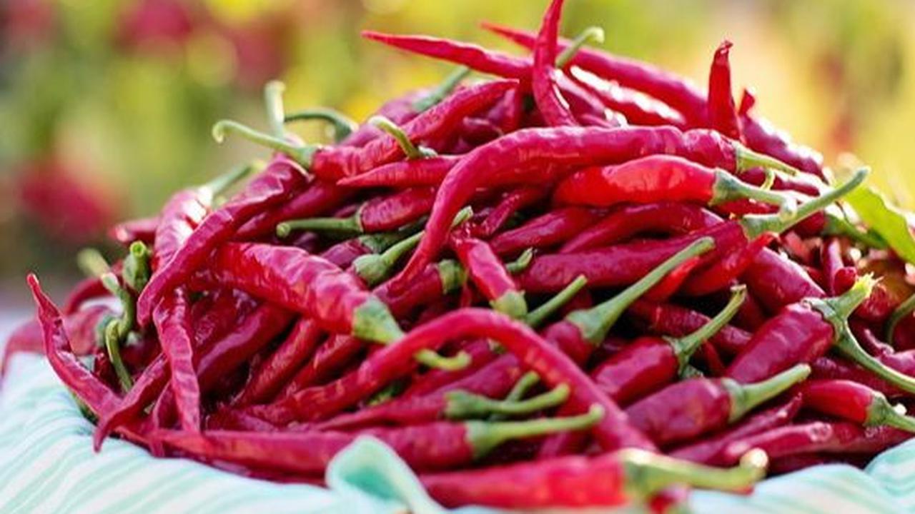 Kandungan Cayenne Pepper