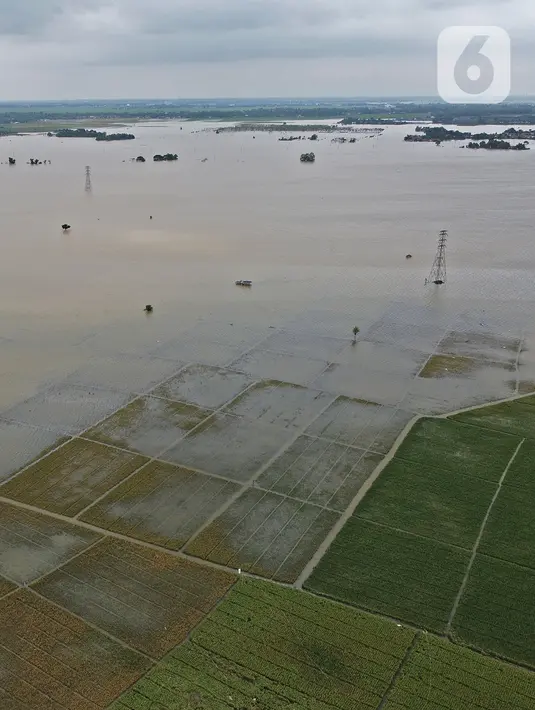 Foto udara areal persawahan yang terendam banjir di Desa Karangligar, Kecamatan Telukjambe Barat, Karawang, Kamis (10/2/2021). Banjir di Desa Karangligar akibat meluapnya sungai Citarum dan Cibeet membuat ratusan rumah terendam banjir dan ratusan hektar sawah. (Liputan6.com/Herman Zakharia)