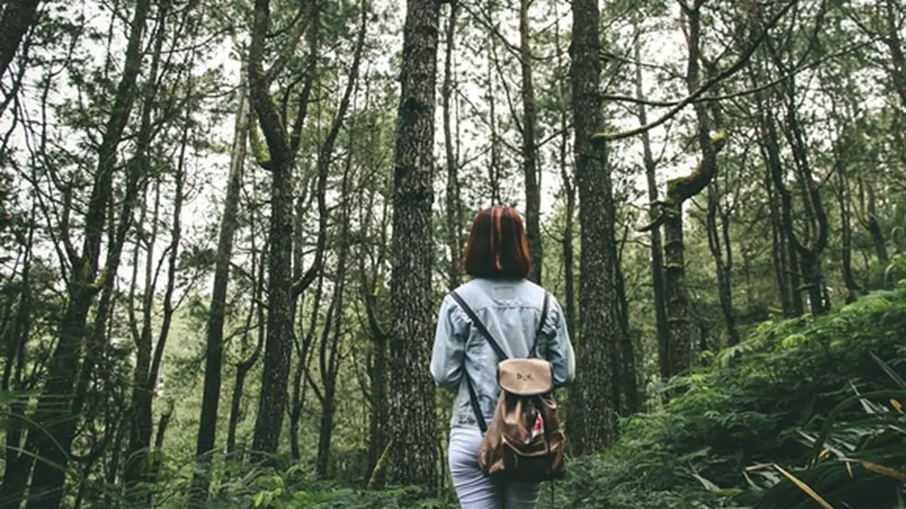Foto: copyright pexels.com
