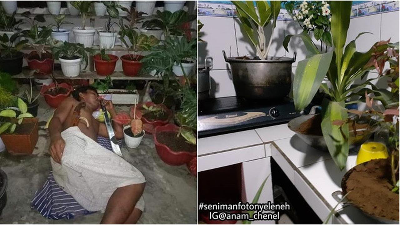 7 Potret Demam Tanaman Hias, Dijagain Hingga Pakai Pot dari Peralatan Dapur