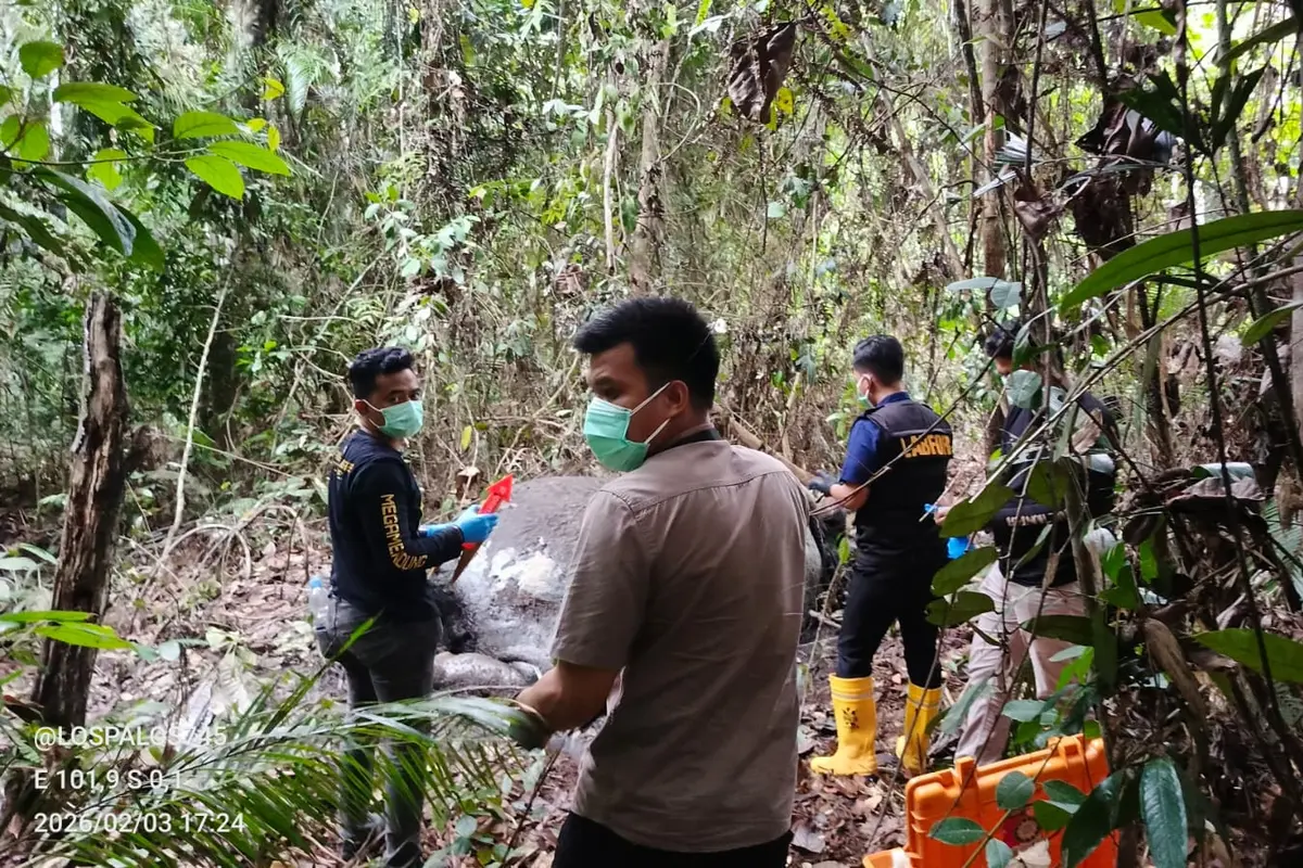 Gajah Tanpa Kepala di Hutan Konsesi Pelalawan Riau Diduga Kuat Korban Perburuan Liar