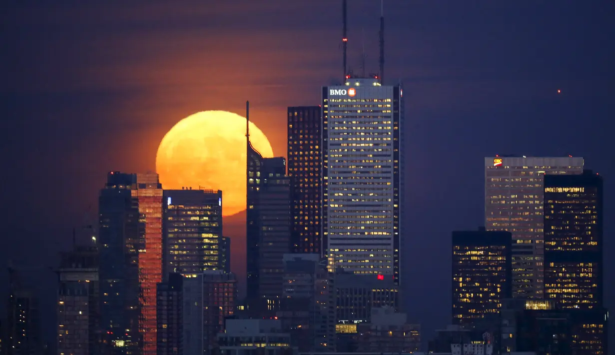 Gedung - gedung distrik keuangan di Toronto menjelang malam hari, Kanada, 25 November 2015.  (REUTERS/Mark Blinch)