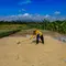 Bulog Sudah Serap 3,5 Juta Ton Beras Petani