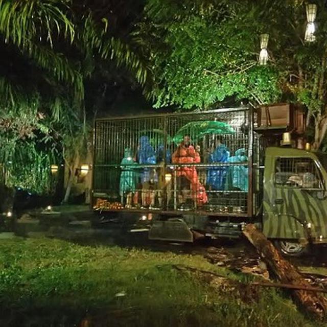 Sensasi Menegangkan Safari Night Di Bali Safari And Marine Park Lifestyle Liputan6 Com