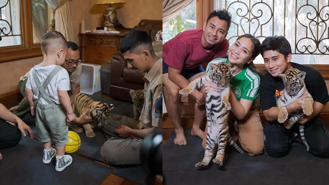 7 Potret Nagita Slavina Bareng Cipung Main dengan Anak Harimau Ini Bikin Gemas
