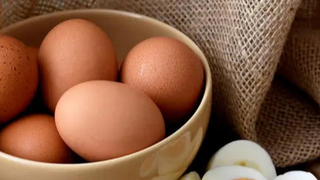 Manfaat Konsumsi Telur Setiap Hari, Rahasia Berat Badan Ideal dan Kesehatan Optimal
