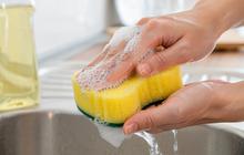 7 Life Hack Mengeringkan Spons Cuci Piring agar Tidak Cepat Bau dan Tetap Higienis