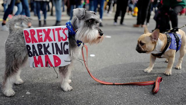 Pawai Wooferendum