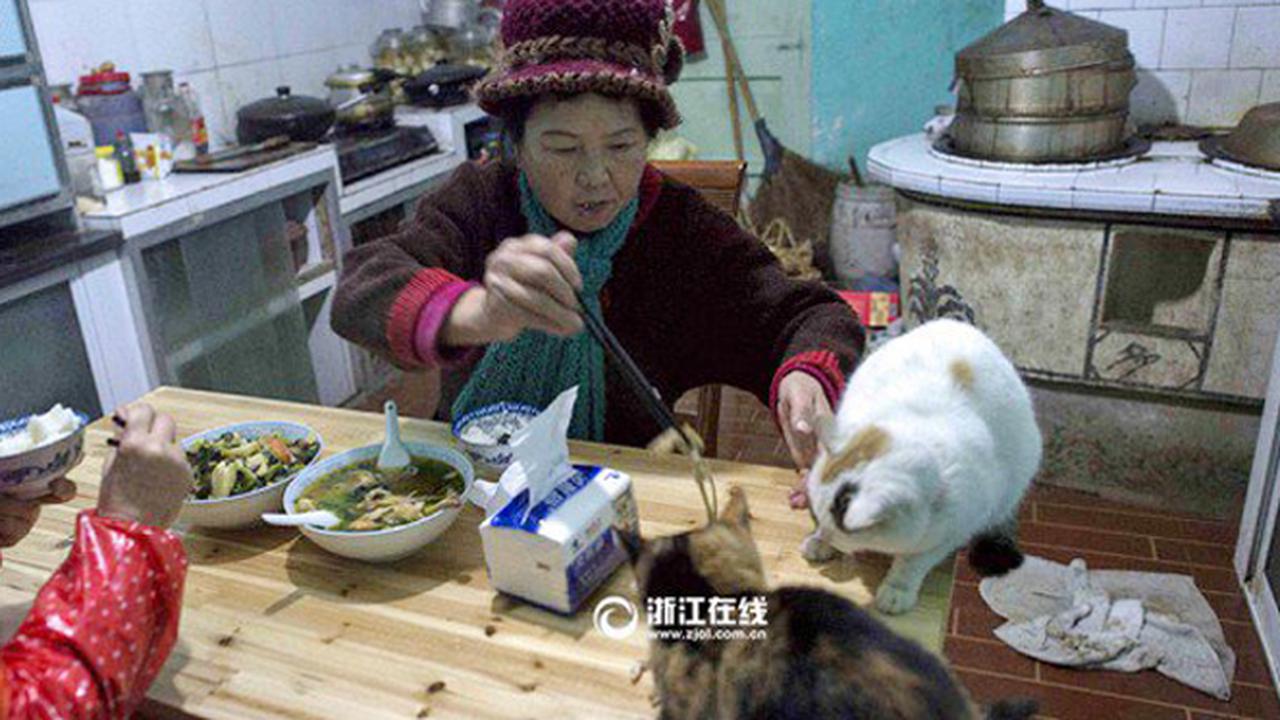 Demi Rawat Hewan Liar, Nenek Ini Rela Habiskan Uang Pensiun