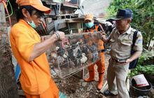 Antisipasi flu burung, kandang unggas di bantaran Ciliwung dibongkar