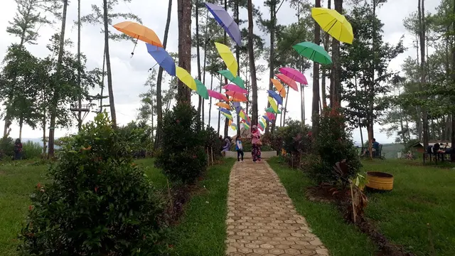 12 Wisata Cilacap yang Sayang Dilewatkan, Tawarkan Keindahan Alam Memesona