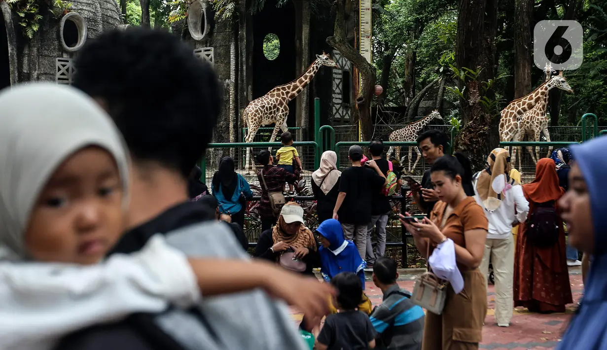 "Untuk yang ingin berkunjung pada saat liburan Idul Fitri bisa datang di hari Minggu, 23 April 2023. (Liputan6.com/Johan Tallo)