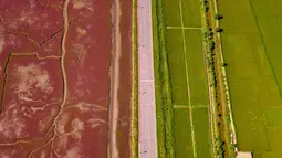 Pemandangan Pantai Merah (kiri), dinamakan demikian karena tanaman suaeda salsa yang tumbuh di lanskap rawa, di Panjin, provinsi Liaoning timur laut China (27/8/2021). Pantai ini bukanlah seperti pantai pada umumnya yang memiliki hamparan pasir, hanya lahan basah luas berlumpur. (AFP/STR)