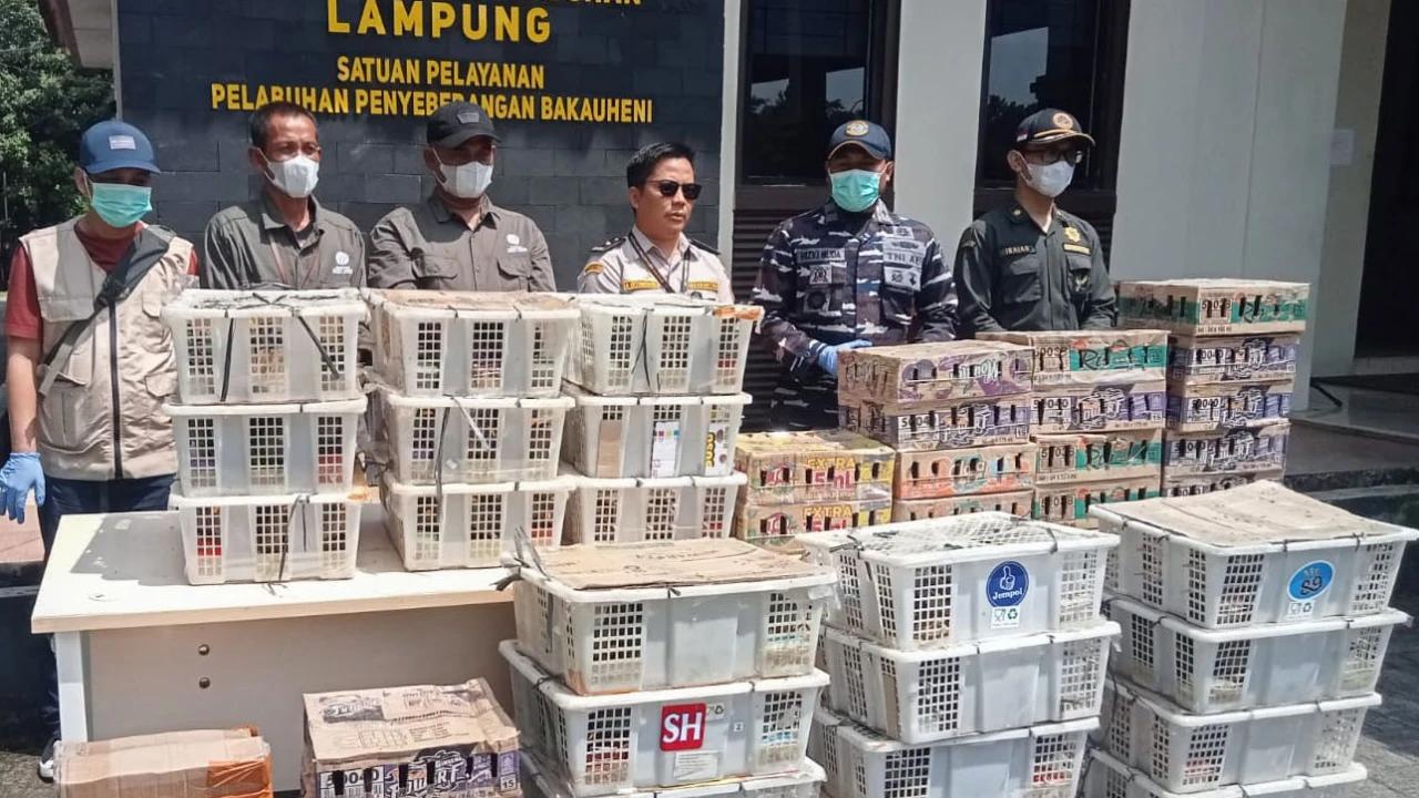 FOTO: TNI AL Gagalkan Penyelundupan Ratusan Burung Ilegal di Bakauheni
