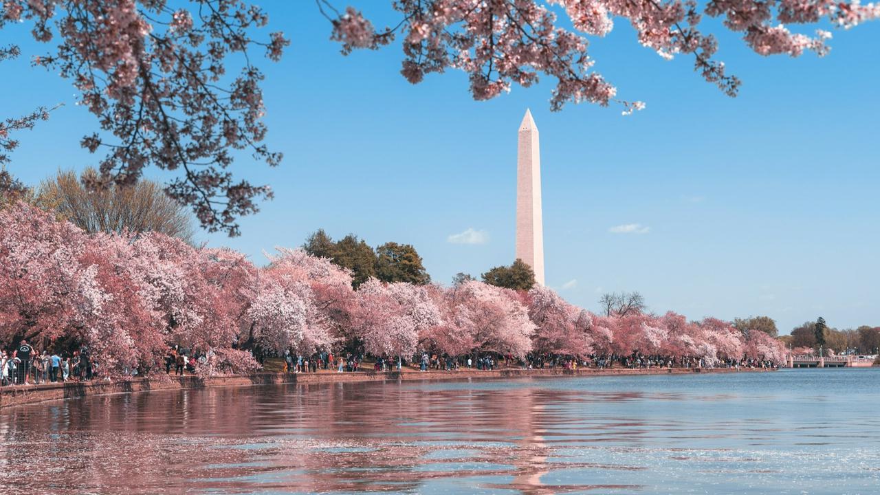 Washington DC