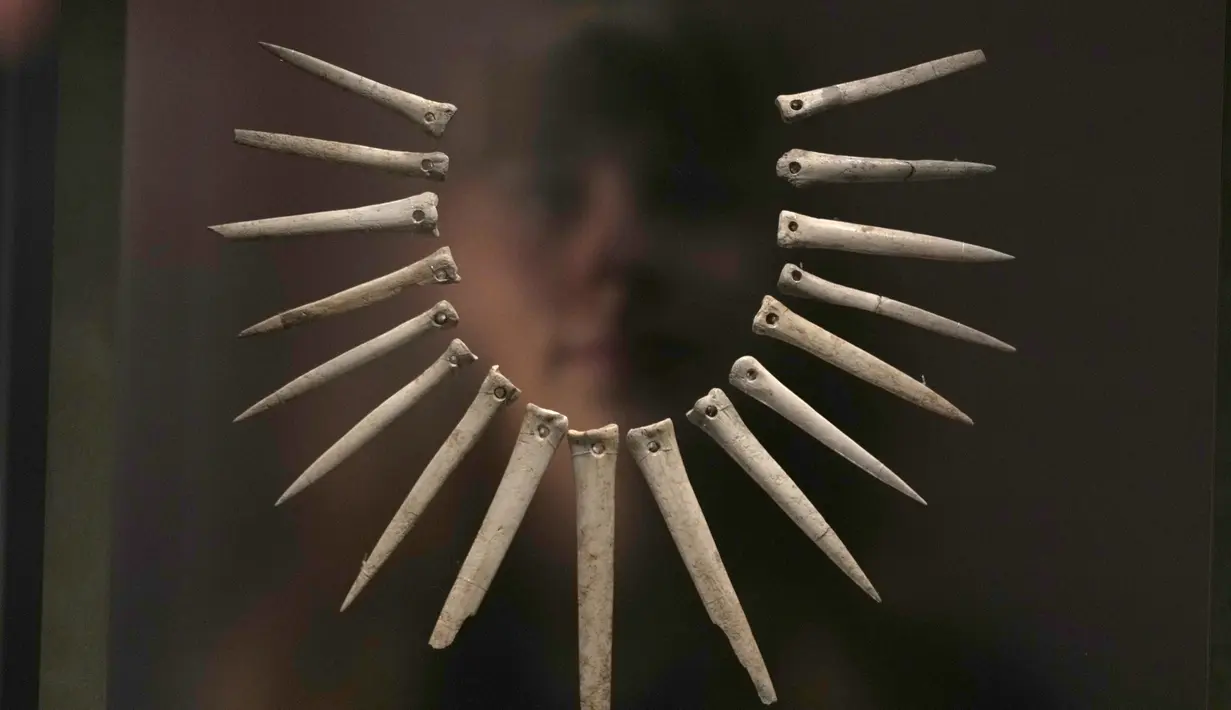 Tulang binatang berupa kalung yang ditemukan di Dataran Salisbury, 2100-1900 SM, dipamerkan pada pameran 'The World of Stonehenge' di British Museum di London, Senin (14/2/2022). (AP Photo/Alastair Grant)
