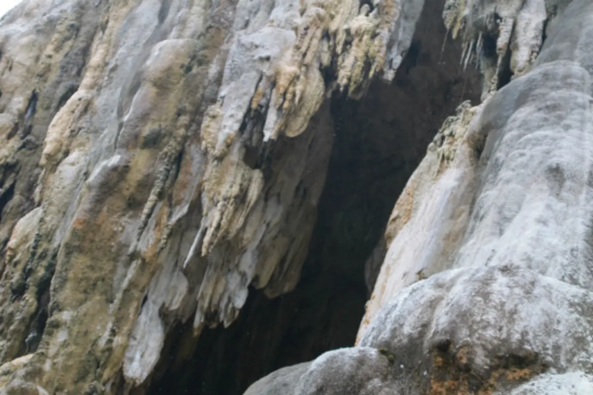 Menelusuri Gua Kapur, Habitat Bermain Burung Maleo di Bone Bolango
