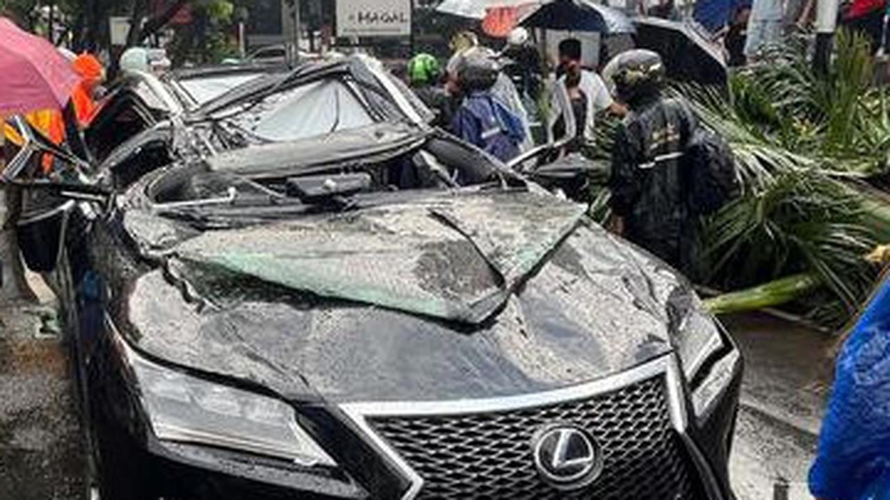 Akibat Hujan Lebat dan Angin Kencang: Pengendara Mobil Lexus Tewas Tertimpa Pohon di Pondok Indah