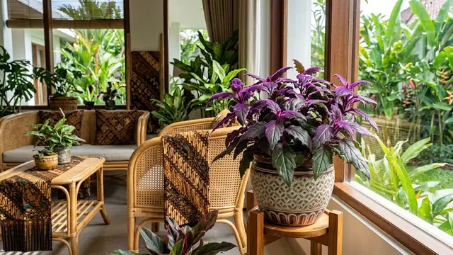 Gynura Aurantiaca (Purple Velvet Plant)/AI Generated