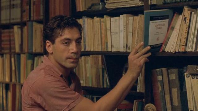 Before Night Falls (2000)