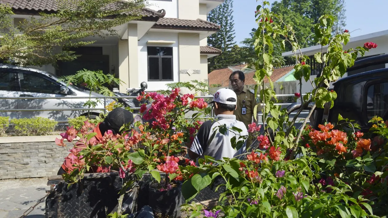 DPKPLH Banjarnegara menanam 600 batang bunga di Jalan Ahmad Yani, Banjarnegara. (Foto: Liputan6.com/Pemkab BNA/Muhamad Ridlo)