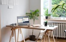 Desain Kantor Minimalis Modern untuk Produktivitas Maksimal