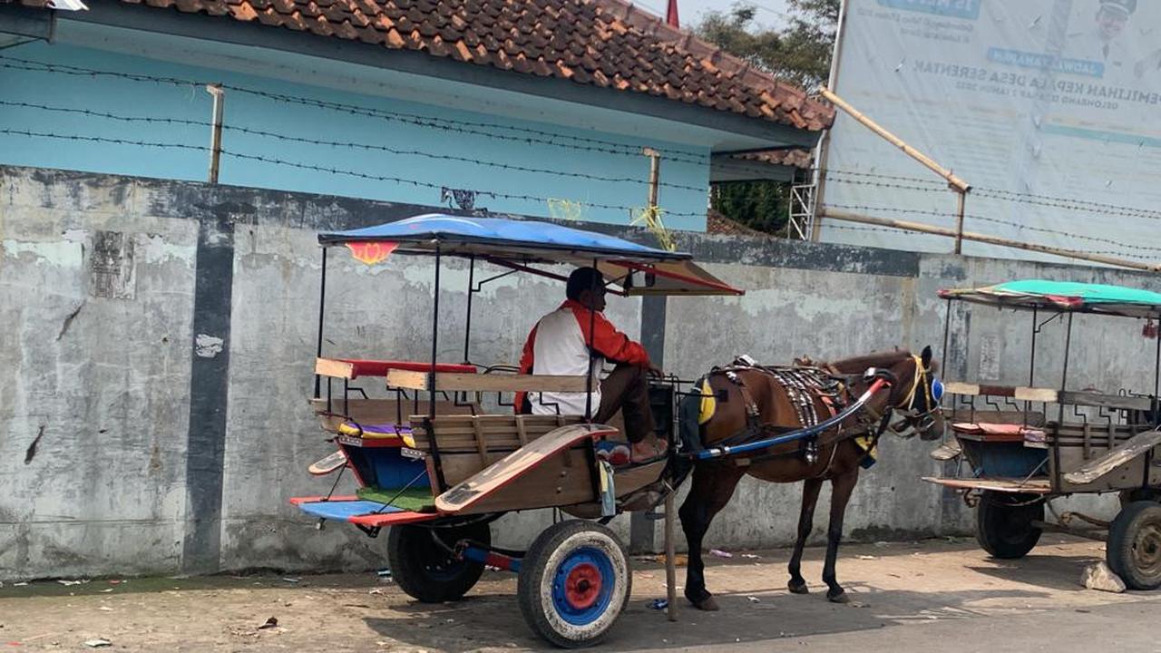 Pemerintah Daerah (Pemda) Garut, Jawa Barat memberikan kompensasi bagi 81 kusir delman yang beroperasi di sepanjang jalur mudik nasional Limbangan – Malangbong, terhitung selama sepekan lebaran Idul Fitri 1444 H/2023. (Liputan6.com/Jayadi Supriadin)