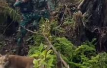 Dikawal Senjata Laras Panjang, Ini Detik-Detik Menegangkan Prajurit TNI Kibarkan Merah Putih