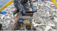 Setidaknya 250 kilogram teripang ditemukan di kapal penangkap ikan Indonesia ini.(Supplied: AFMA)