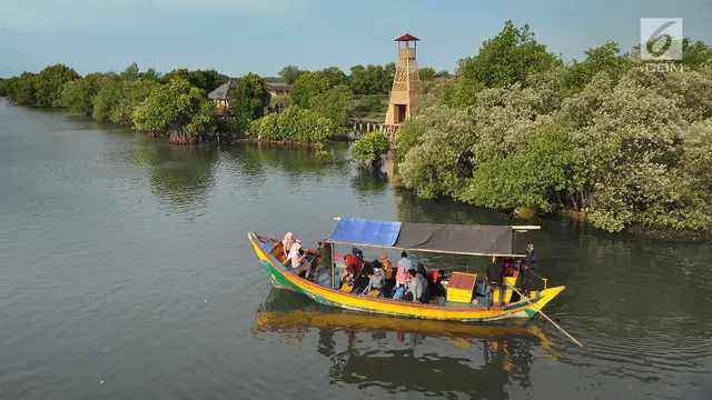 Menikmati Indahnya Wisata Mangrove di Bekasi