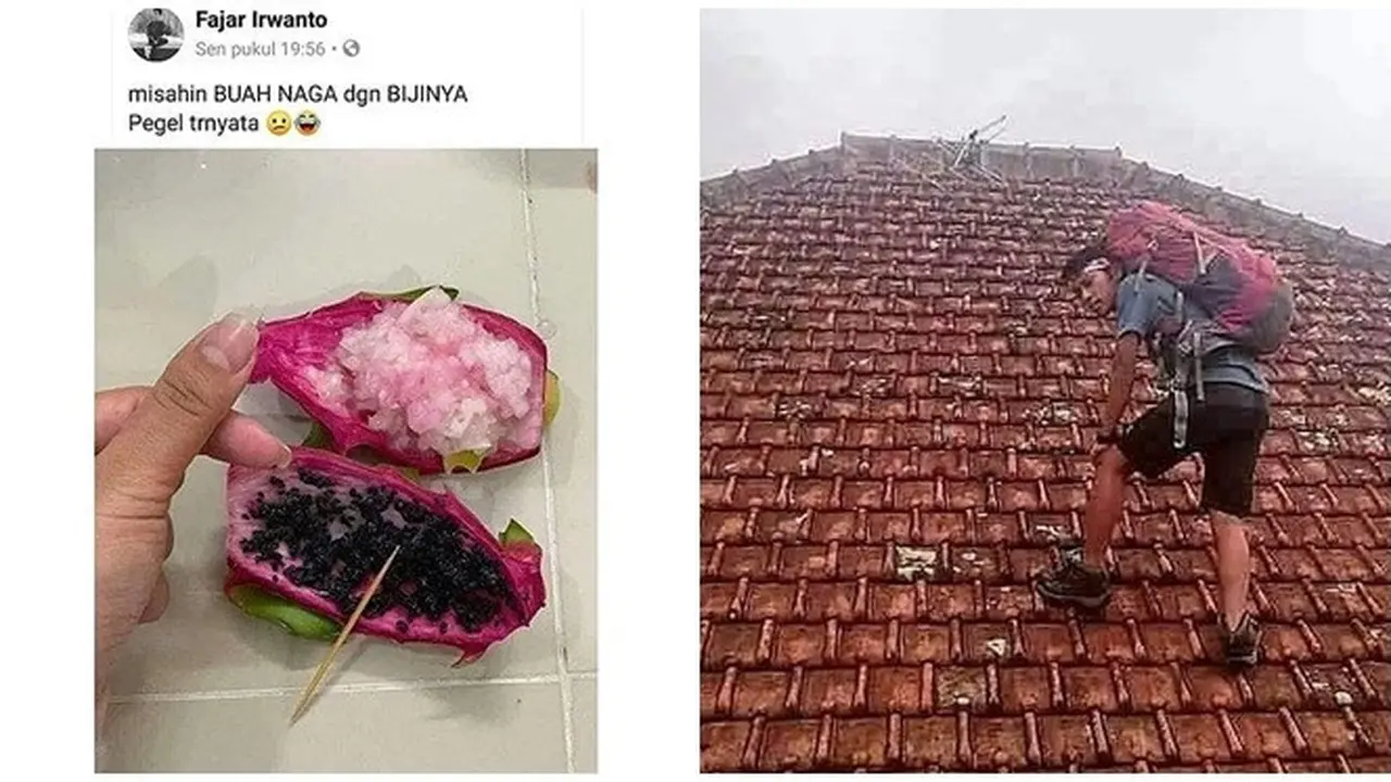 7 Kelakuan Nyeleneh Warga saat Bosan 'Di Rumah Aja' Ini Bikin Geleng Kepala