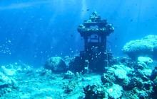 Arkeolog Temukan Peradaban yang Tenggelam Berusia 140.000 Tahun di Laut Indonesia, Dihuni Berbagai Hewan Raksasa