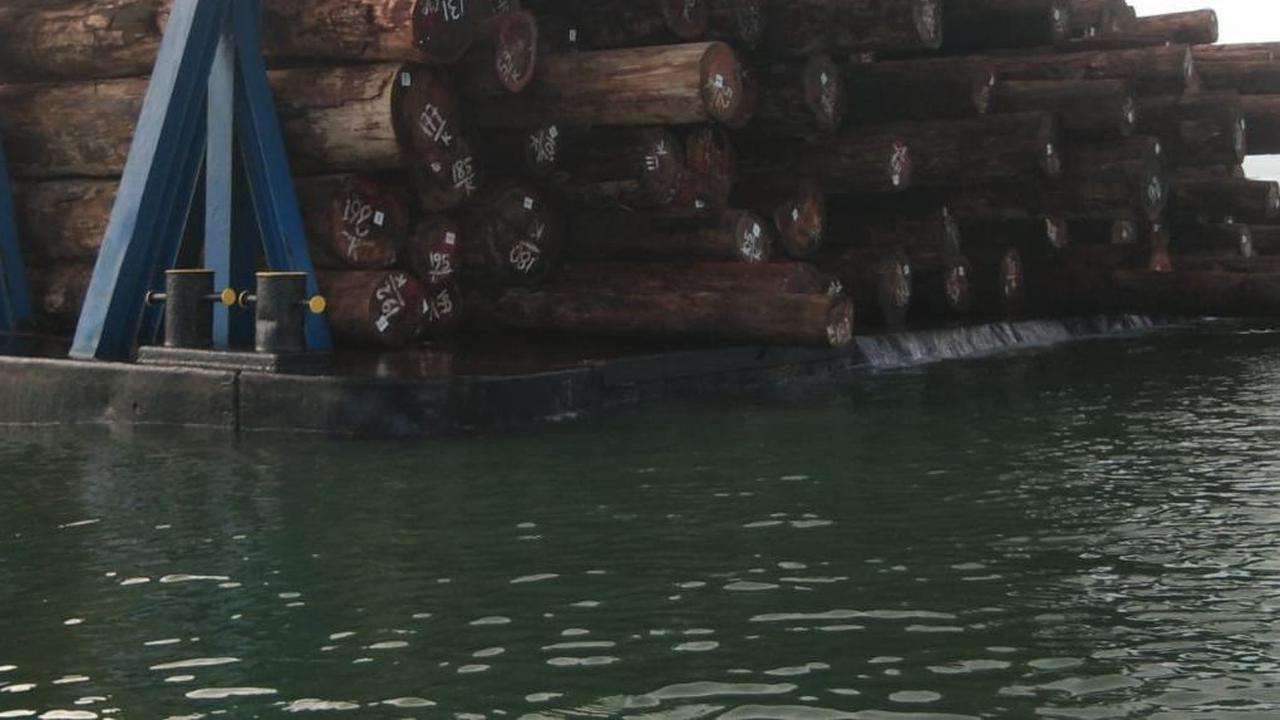 Sekitar 3.000 kubik kayu ditahan masyarakat di DesaTuapejat, Kecamatan Sipora Utara Kabupaten Kepulauan Mentawai, Sumatera Barat (Sumbar). Kayu-kayu tersebut ditebang perusahaan PT BRN yang lokasi penebangan diklaim masyarakat telah memasuki tanah ulayat 