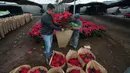 Di Meksiko, bunga poinsettia itu dikenal sebagai "Nochebuena", karena bunga tersebut bermekaran selama Natal dan tumbuh subur dalam cuaca yang cerah. (AP Photo/Marco Ugarte)