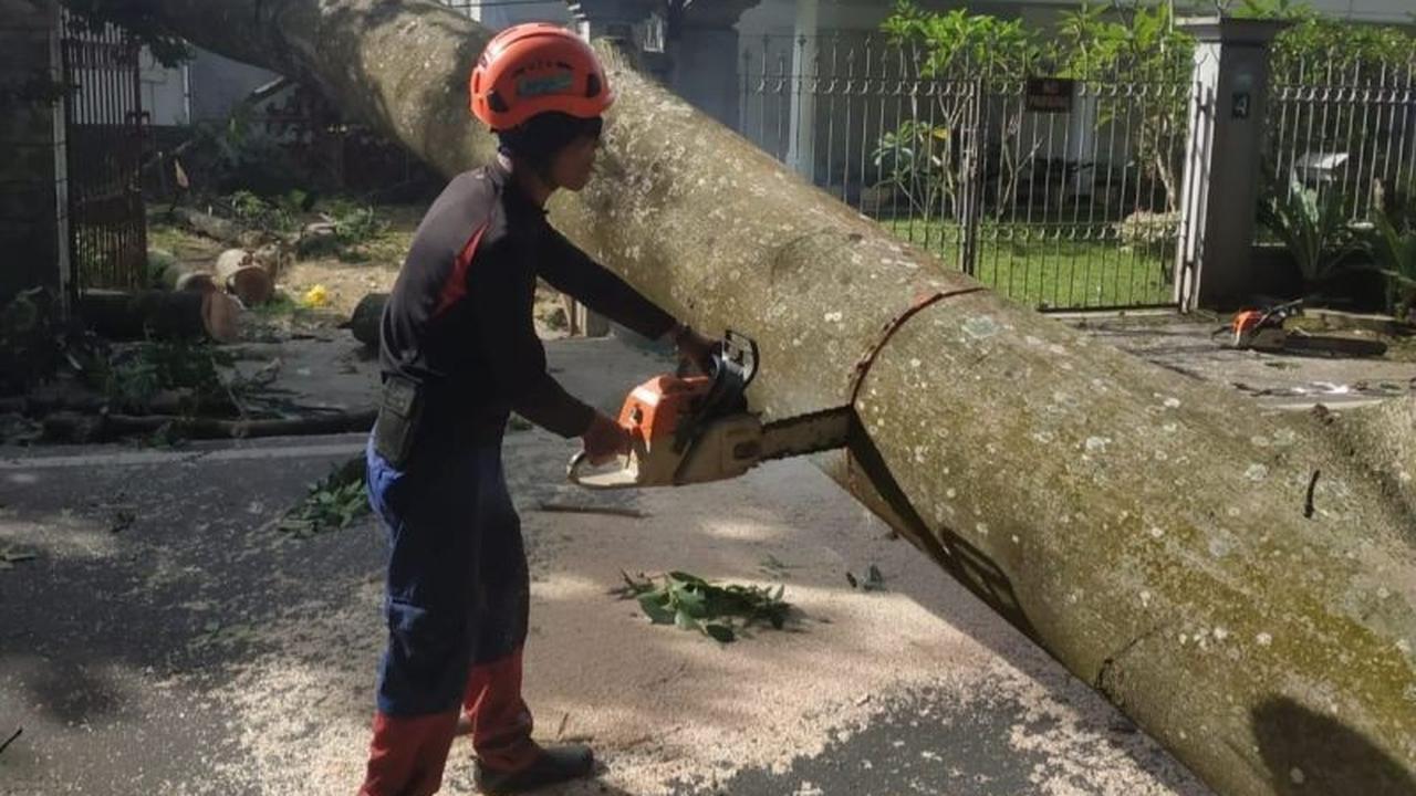 BMKG Ungkap Penyebab dan Dampak Angin Kencang Malang Raya