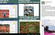 Gara-gara selfie ala Syahrini, taman bunga di Yogya rusak parah