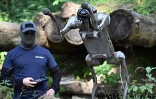 FOTO: Strategi Baru Perang Lawan Rusia, Ukraina Kerahkan Robot Anjing Canggih di Garis Terdepan