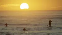 Peselancar menikmati ombak saat matahari terbit di Pantai Sumner, Christchurch, Selandia Baru, Selasa (28/4/2020). Selandia Baru melonggarkan pembatasan lockdown akibat COVID-19 dari level empat ke ke level tiga. (AP Photo/Mark Baker)