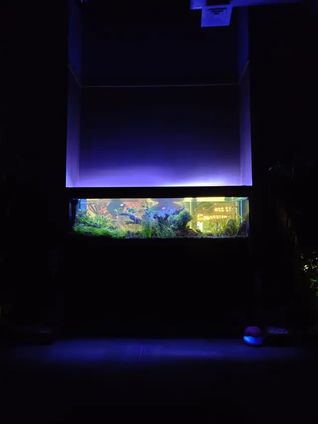 Spesifikasi Bersaing Smartphone Juara di realme C55 NFC yang Dibanderol dengan Harga Terjangkau