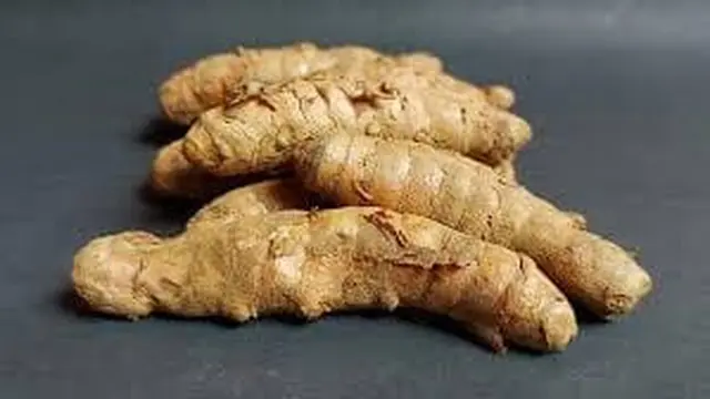 Rahasia Lumpia Rebung Tanpa Bau Pesing, Cuma Direbus 1 Bahan Dapur