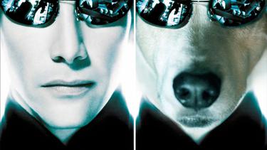 Unik Wanita Ini Photoshop Foto Anjingnya Jadi Poster Film Fimela Fimela Com